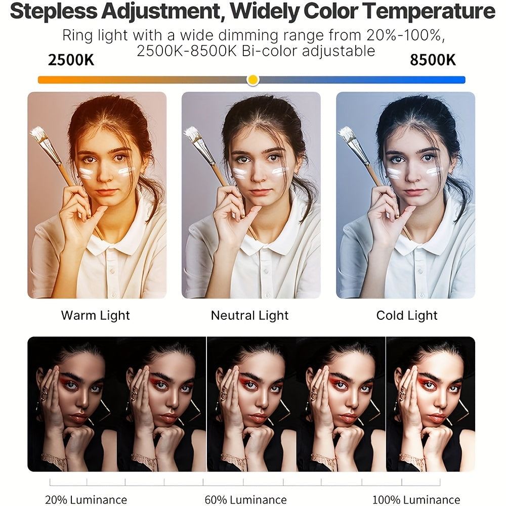 2025 NEWS Smartphone Video Rig With Light, 8000mAh Build-in Battery, Cell Phone Handheld Stabilizer With Ring Light 2500-8500k Selfie Light For Camera, Smartphone, Action Camera, Setup, Filmmaking, Makeup, Vlogging