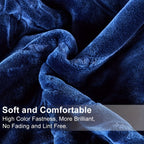 1-Piece (without Pillowcases) Thick Raschel Printed Blanket King Size Luxurious Single Ply 9 Lbs Soft & Warm Blanket Bed Home Gifts 85 X 95 In (215x240cm) For Any Decor