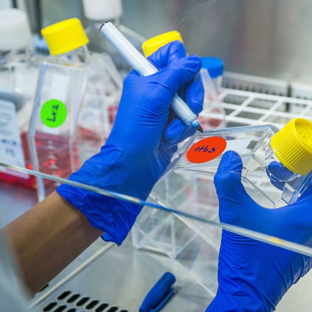 4" Removable Round Color Coding Sheeted Dot Kit (Fluorescent): 100/Pack