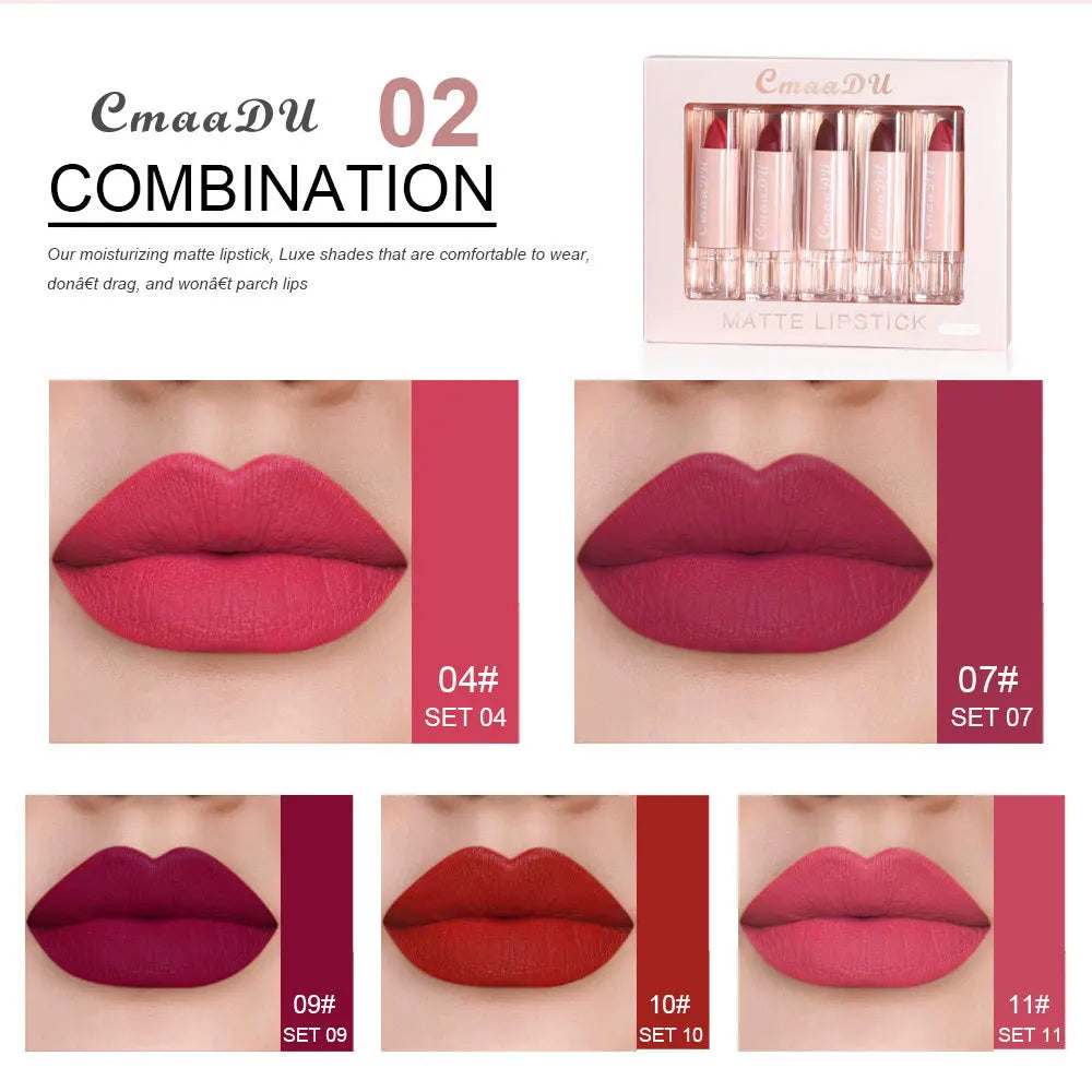 5 Pcs  Matte Lipstick Sets Lip Gloss Moisturizing Long-lasting Easy Makeup Fashion Classic Shades For Daily Date Exquisite Gift