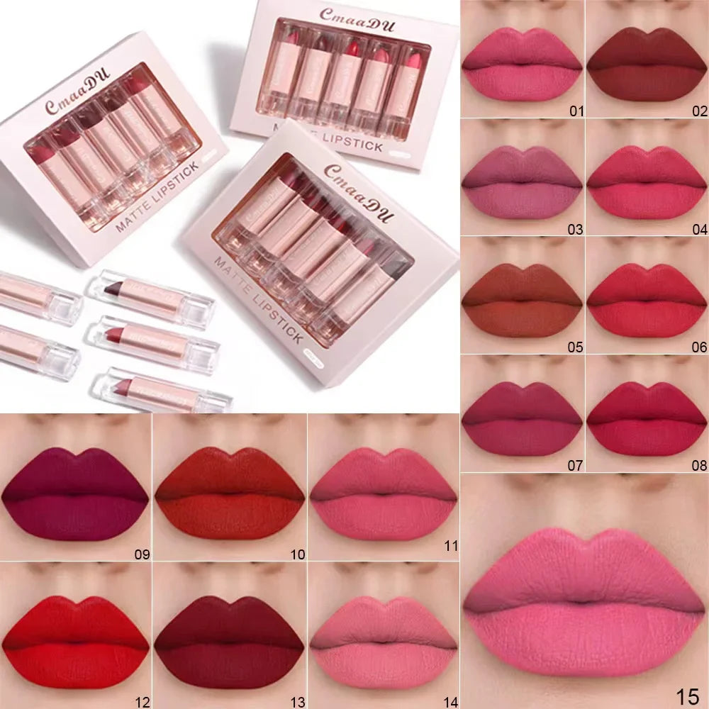 5 Pcs  Matte Lipstick Sets Lip Gloss Moisturizing Long-lasting Easy Makeup Fashion Classic Shades For Daily Date Exquisite Gift