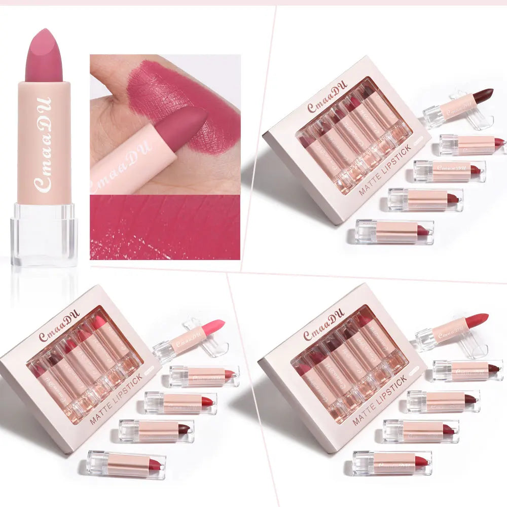 5 Pcs  Matte Lipstick Sets Lip Gloss Moisturizing Long-lasting Easy Makeup Fashion Classic Shades For Daily Date Exquisite Gift