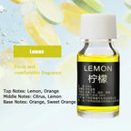 10ml Car Perfume Refill Air Freshener Natural Plant Essential Oil Aroma Diffuser Fragrance Humidifier Essential Oil Freshener