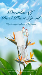 30-color Plumping Lip Oil Private Label Lipgloss Custom Logo Long-lasting Full Color Makeup Plant Moisturizing Cosmetics Vegan