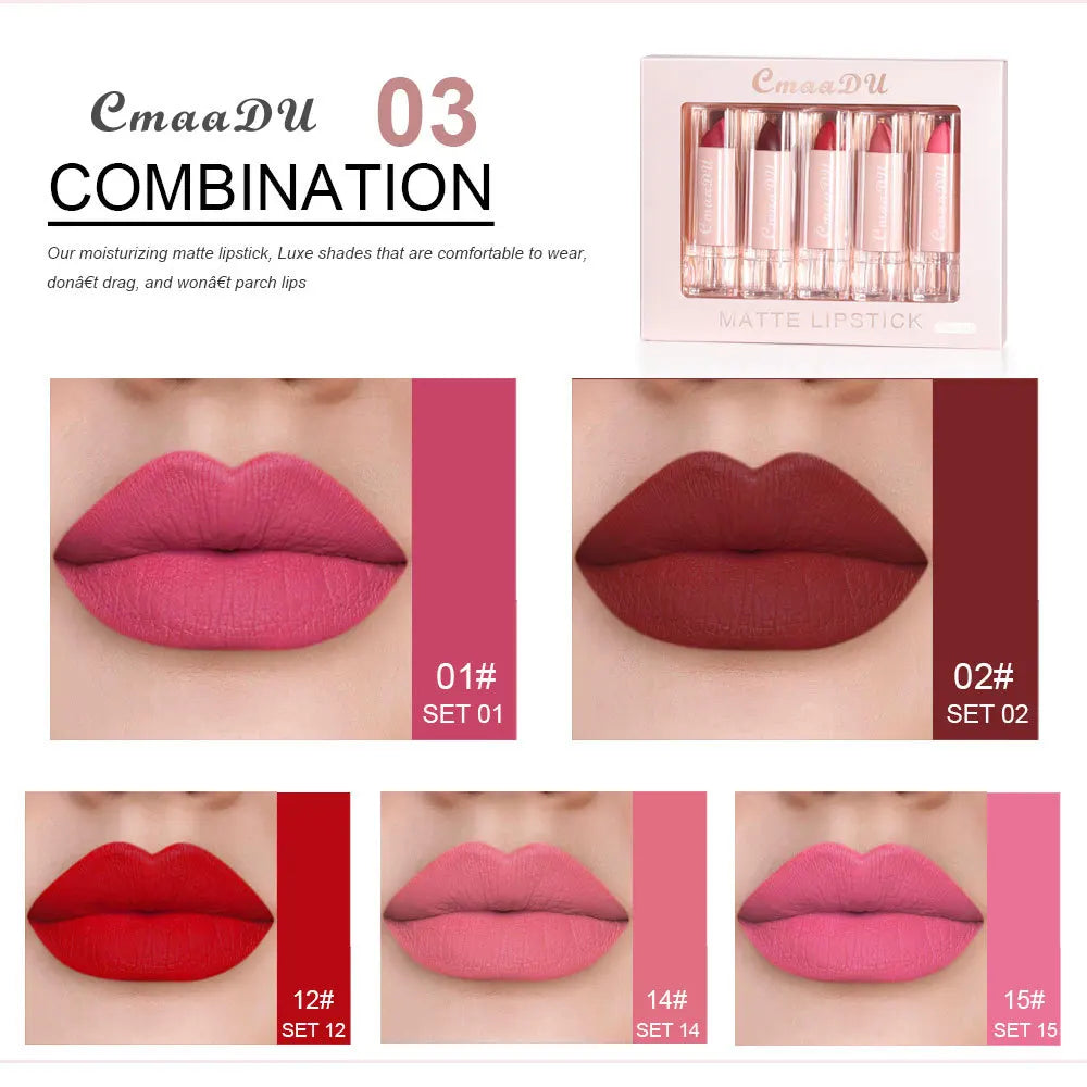 5 Pcs  Matte Lipstick Sets Lip Gloss Moisturizing Long-lasting Easy Makeup Fashion Classic Shades For Daily Date Exquisite Gift