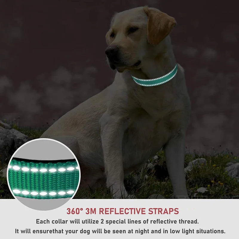 1.2/1.5/1.8M/Night Reflective Pet Towing Rope Collar Nylon Reinforcement Rope Walking Dog Towing Rope Collar Strap Dog Rope