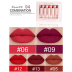 5 Pcs  Matte Lipstick Sets Lip Gloss Moisturizing Long-lasting Easy Makeup Fashion Classic Shades For Daily Date Exquisite Gift