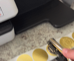 4" Permanent Round, Color-Code Dots: 100/Pack